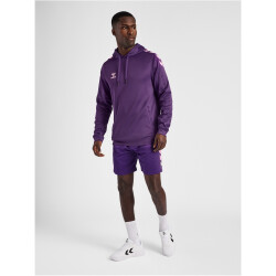 hummel Core XK Poly Hoodie Herren acai XXL