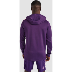 hummel Core XK Poly Hoodie Herren acai 3XL