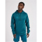 hummel Core XK Poly Hoodie Herren blue coral M