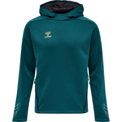 hummel Cima XK Hoodie Herren blue coral XXL
