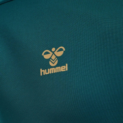 hummel Cima XK Hoodie Herren blue coral L