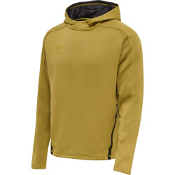 hummel Cima XK Hoodie Herren antique gold XXL
