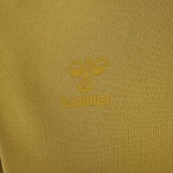 hummel Cima XK Hoodie Herren antique gold XXL