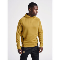 hummel Cima XK Hoodie Herren antique gold XXL
