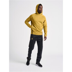 hummel Cima XK Hoodie Herren antique gold XXL