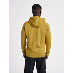 hummel Cima XK Hoodie Herren antique gold XXL