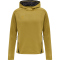 hummel Cima XK Hoodie Herren antique gold XXL