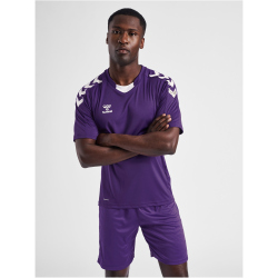 hummel Core XK Poly Trikot Herren acai/white 3XL