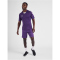 hummel Core XK Poly Trikot Herren acai/white S