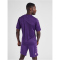 hummel Core XK Poly Trikot Herren acai/white S