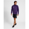 hummel Core XK Poly 1/2-Zip Trainings-Top Herren acai/white 3XL