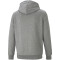 PUMA Ess+ Metallic 2 Col Big Logo Fleece-Hoodie Herren