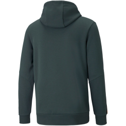 PUMA Power Hoodie Herren