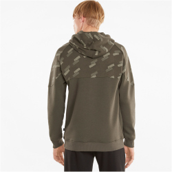 PUMA Power Hoodie Herren grape leaf L