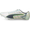 PUMA evoSPEED Tokyo Future 2 SP Laufschuhe mit Spikes PUMA white/spellbound 46.5