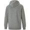 PUMA Essentials Big Logo Terry-Hoodie Herren medium gray heather L