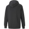 PUMA Essentials Big Logo Terry-Hoodie Herren dark gray heather L