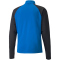 PUMA teamLIGA 1/4-Zip Top electric blue lemonade S