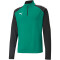 PUMA teamLIGA 1/4-Zip Top pepper green/puma black 3XL