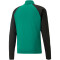 PUMA teamLIGA 1/4-Zip Top pepper green/puma black 3XL