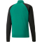 PUMA teamLIGA 1/4-Zip Top pepper green/puma black S