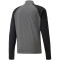 PUMA teamLIGA 1/4-Zip Top smoked pearl/puma white M