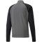 PUMA teamLIGA 1/4-Zip Top smoked pearl/puma white XXL