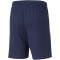 PUMA teamLIGA Trainingsshorts peacoat/puma white XL