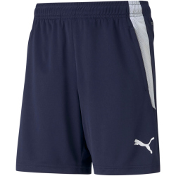 PUMA teamLIGA Trainingsshorts Kinder peacoat/puma white 128