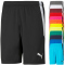 PUMA teamLIGA Shorts Herren