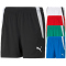 PUMA teamLIGA Trainingsshorts Damen