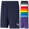 PUMA teamRISE Shorts Herren