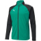 PUMA teamLIGA Trainingsjacke Herren 05 - pepper green/puma black XXL