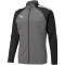 PUMA teamLIGA Trainingsjacke Herren smoked pearl/puma white S