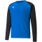PUMA teamLIGA Training Sweatshirt Herren electric blue lemonade XL