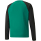 PUMA teamLIGA Training Sweatshirt Herren pepper green/puma black S