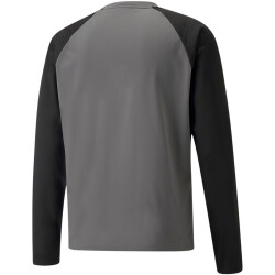 PUMA teamLIGA Training Sweatshirt Herren smoked...