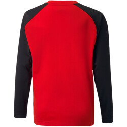 PUMA teamLIGA Training Sweatshirt Kinder PUMA red/PUMA...