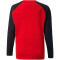 PUMA teamLIGA Training Sweatshirt Kinder PUMA red/PUMA black 152
