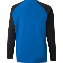 PUMA teamLIGA Training Sweatshirt Kinder electric blue...