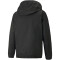 PUMA teamLIGA Allwetter Jacke Herren PUMA black L