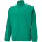 PUMA teamLIGA Sideline Pr&auml;sentationsjacke Herren pepper green/puma white XL