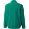 PUMA teamLIGA Sideline Präsentationsjacke Kinder pepper green/puma white 164