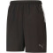 PUMA teamLIGA Sideline Trainingsshorts Herren PUMA black/PUMA white 3XL