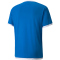 PUMA teamLIGA Trainingsshirt Herren electric blue lemonade L