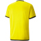 PUMA teamLIGA Trainingsshirt Herren cyber yellow/puma black S