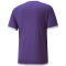 PUMA teamLIGA Trikot Herren prism violet/puma white M