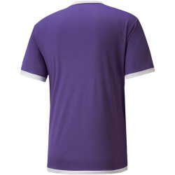PUMA teamLIGA Trainingsshirt Herren prism violet/puma...