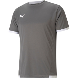 PUMA teamLIGA Trikot Herren smoked pearl/puma white S
