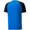 PUMA teamPACER Trainingsshirt Herren electric blue/black/white S